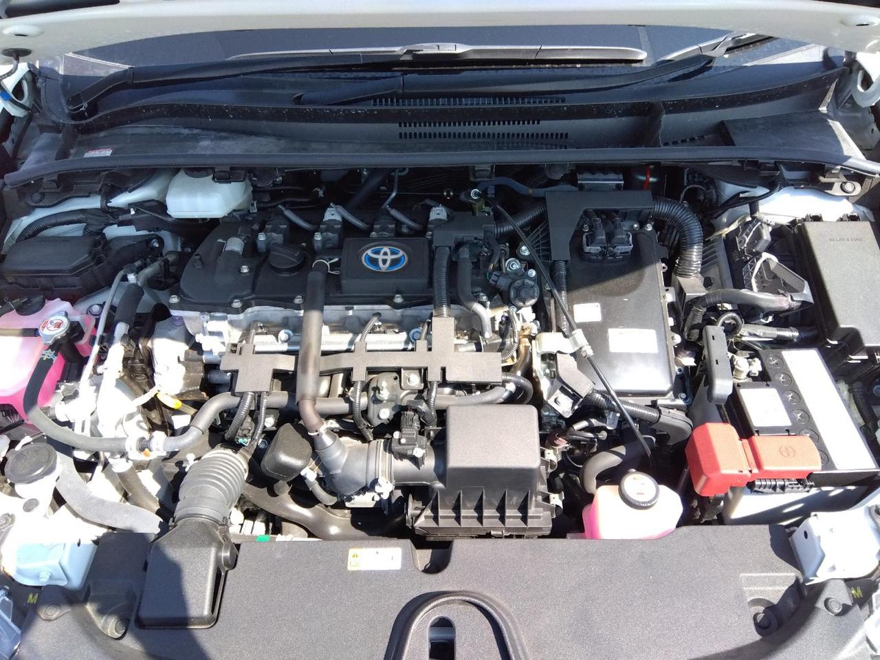 Toyota Corolla WxB 2020 (Hybrid, Auction Grade 3.5) – Pearl | 81,434 km | ECB Showroom | STK-260110